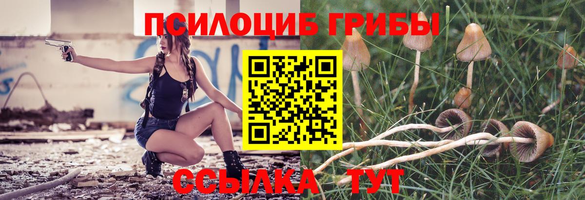 Куйбышев  Псилоцибиновые грибы Psilocybe  Вход с VPN  купить наркотики сайты  Галлюциногенные грибы Magic Shrooms 